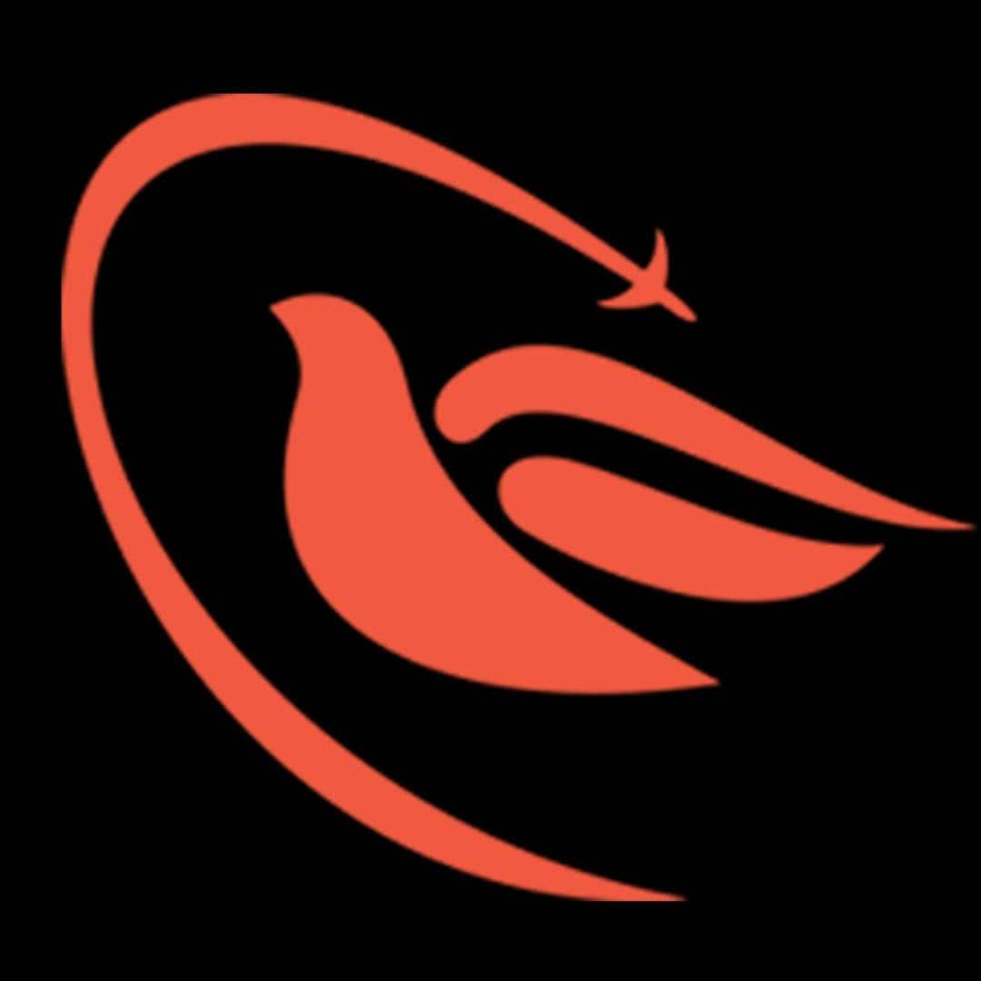 لوگوی شرکت مینا